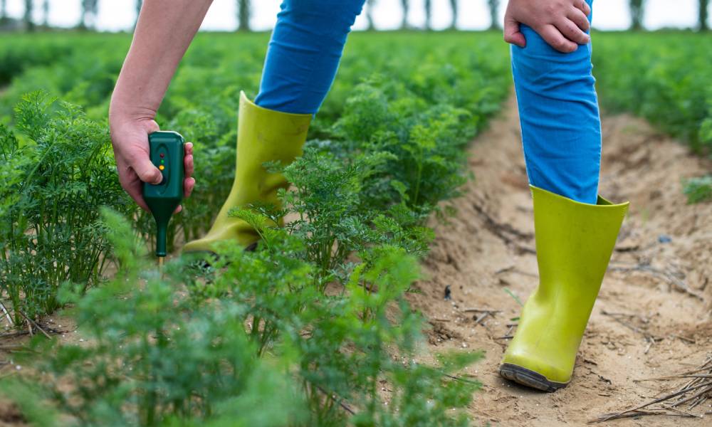 اسید فرمیک در کشاورزی