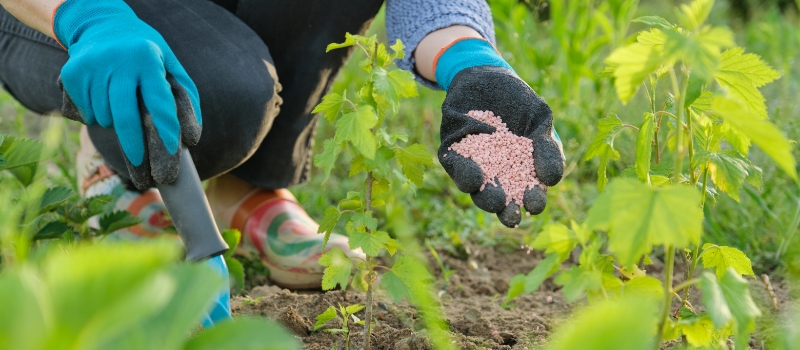 کربنات پتاسیم در صنعت کشاورزی