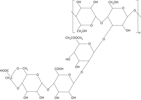 مشخصات زانتان گام