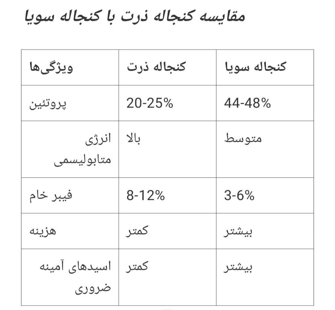 مقایسه کنجاله ذرت و کنجاله سویا