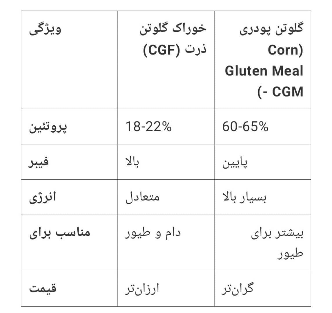 خوراک گلوتن
