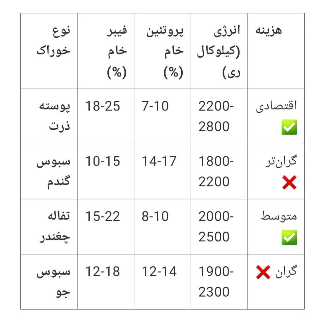 پوسته طلایی