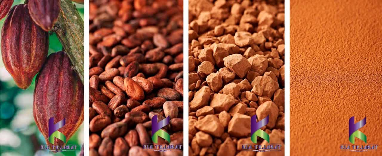 فراورده کاکائو