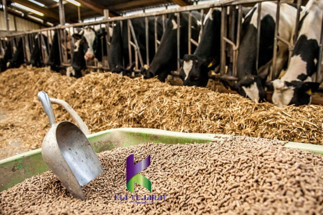 نگهداری خوراک دام