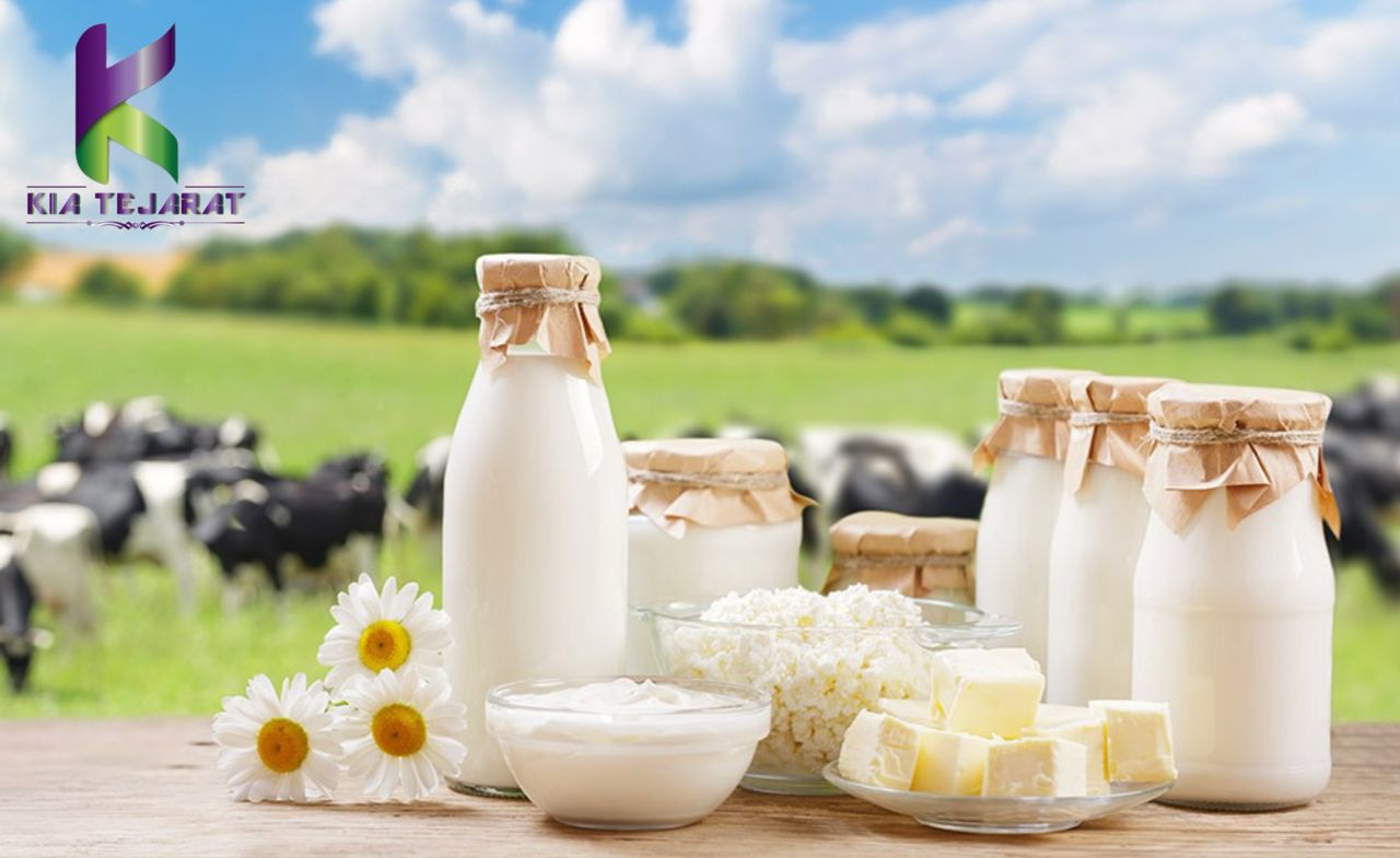 محصولات لبنی