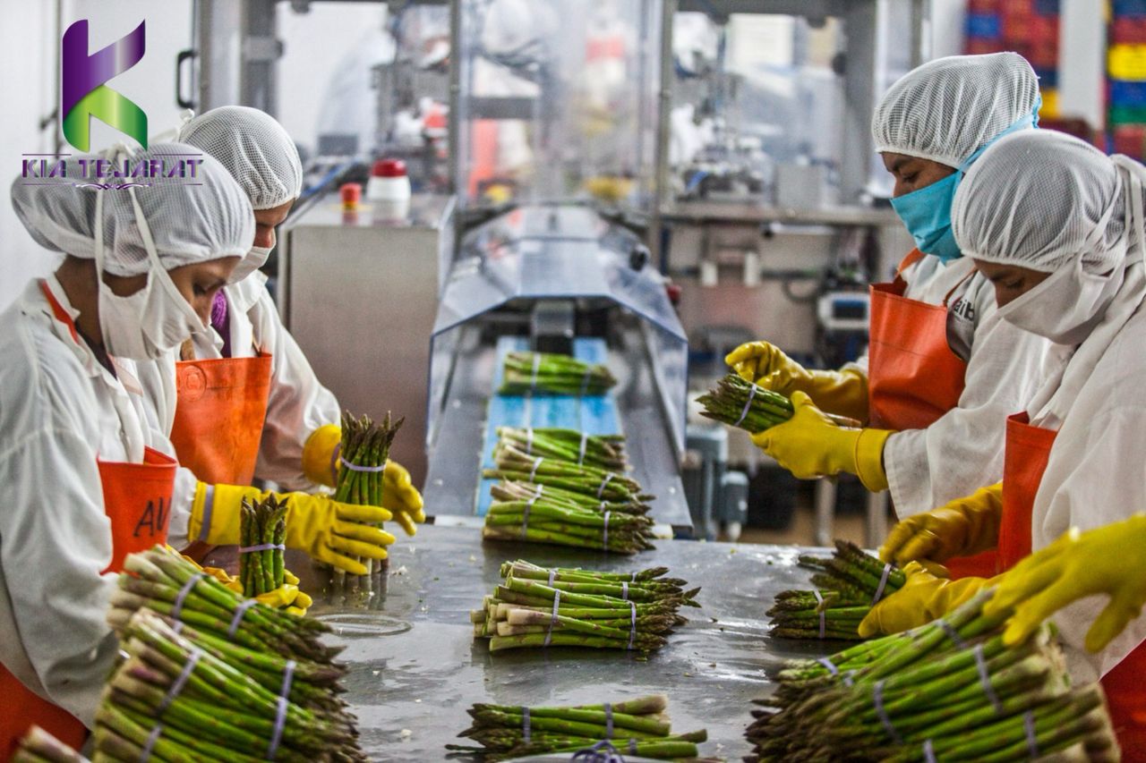 کاربردها در صنعت غذا