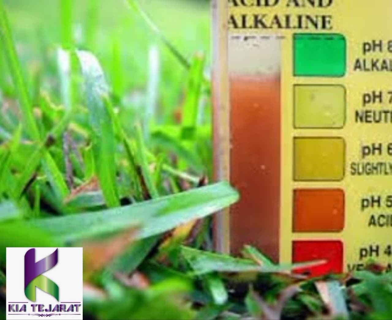 عامل تنظیم‌کننده pH (بافر):