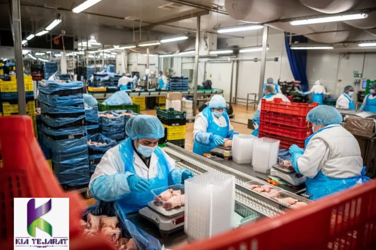 3. کاربردها در صنعت غذایی