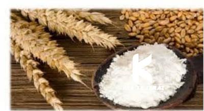 نشاسته گندم