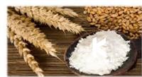 نشاسته گندم