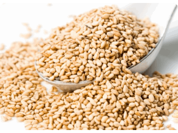 گندم محصولات