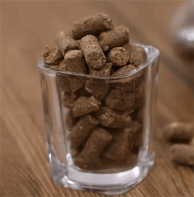 کنجاله کلزا