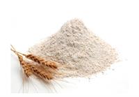 نشاسته  دامی