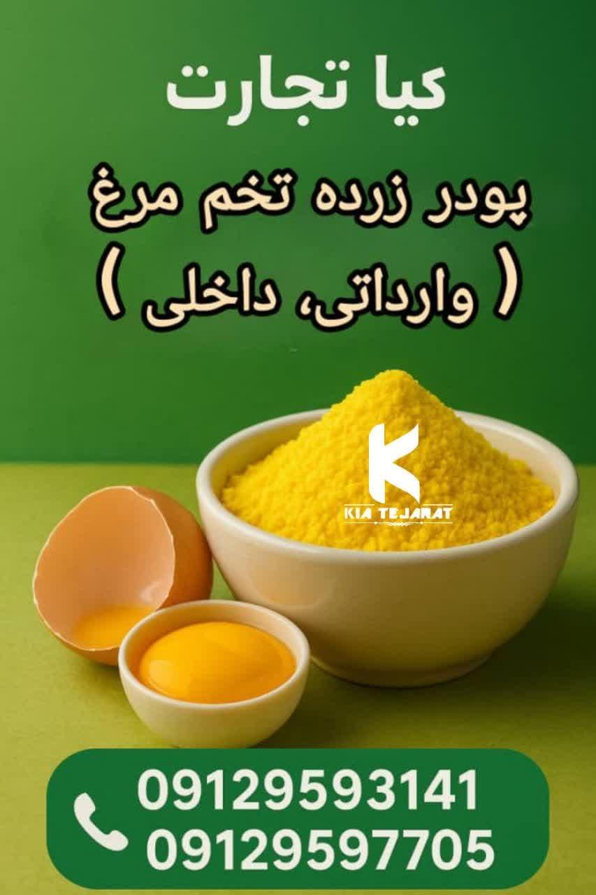 پودر زرده تخم مرغ